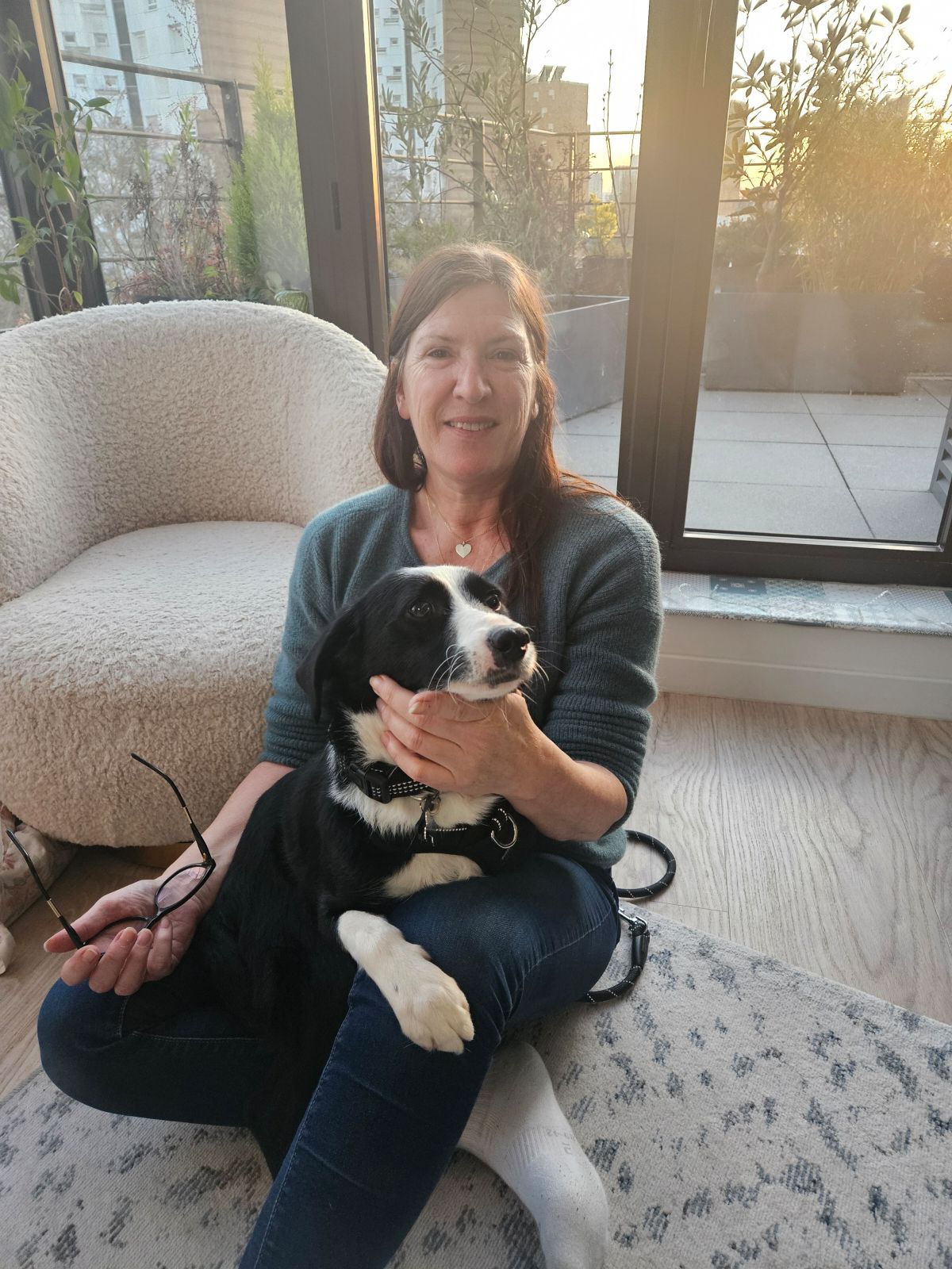 Chiens à adopter